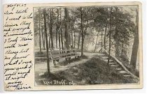 Postcard #89  Lake Bluff '06